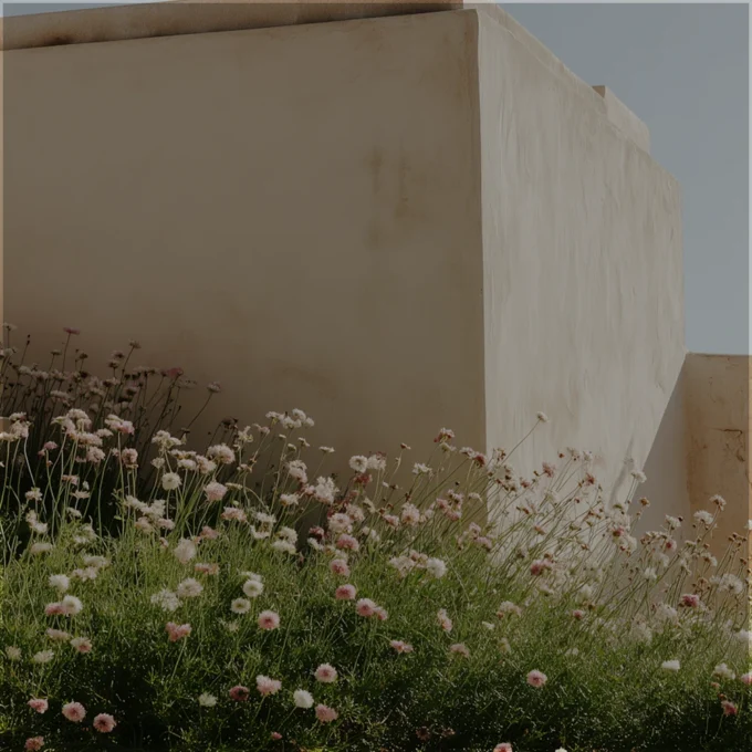 sb1